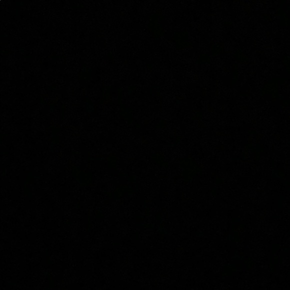 Meet your Posher, Sammy - Picture 1 of 1